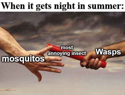 Summertime Memes (30 pics)