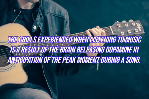 Intriguing Facts (20 pics)