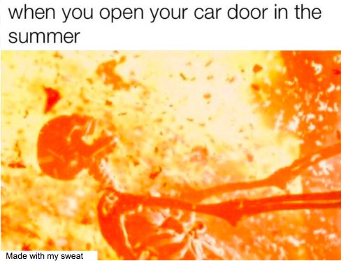 Summertime Memes (30 pics)