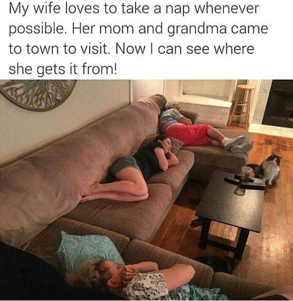 Wholesome Stories (29 pics)