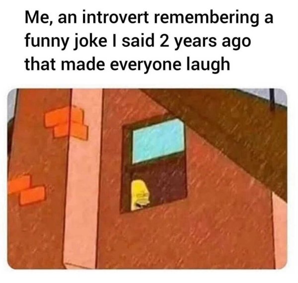 Introvert Memes (26 pics)