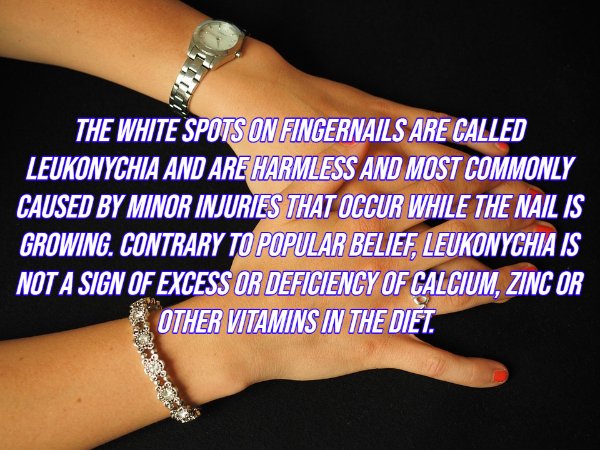 Intriguing Facts (20 pics)