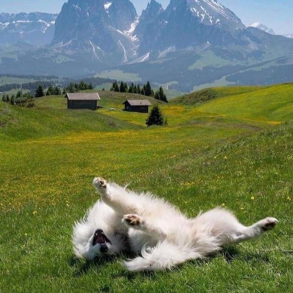 Enjoy Every Moment Of Your Life (41 pics)