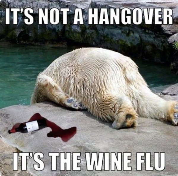 Hangover Memes (41 pics)