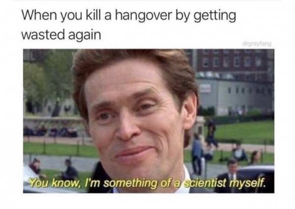 Hangover Memes (41 pics)