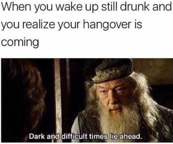 Hangover Memes (41 pics)