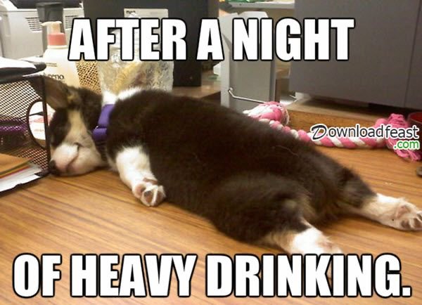 Hangover Memes (41 pics)
