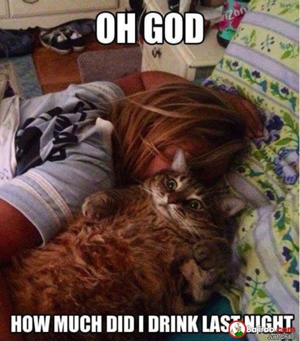 Hangover Memes (41 pics)