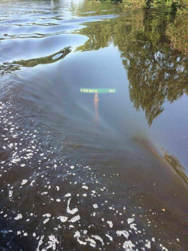 This Is Submechanophobia (29 pics)