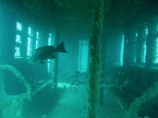 This Is Submechanophobia (29 pics)