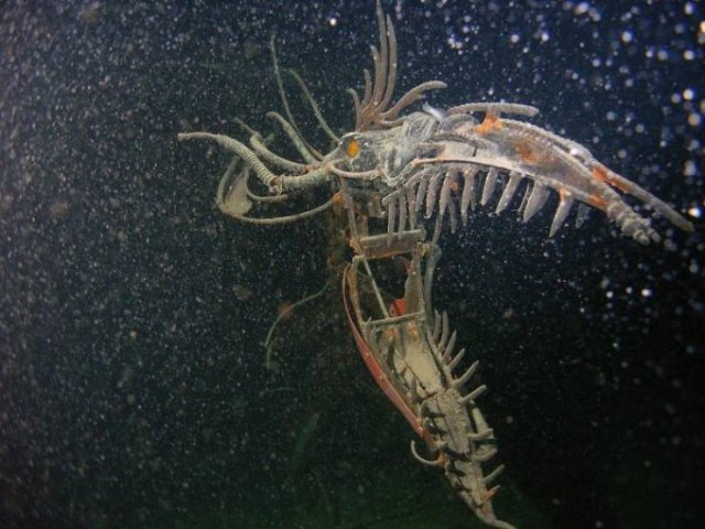 This Is Submechanophobia (29 pics)