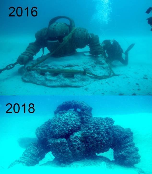 This Is Submechanophobia (29 pics)