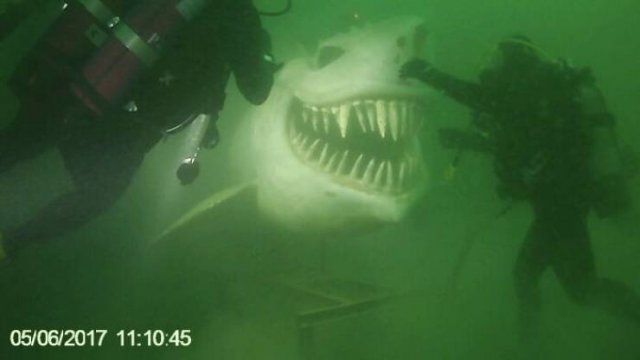 This Is Submechanophobia (29 pics)