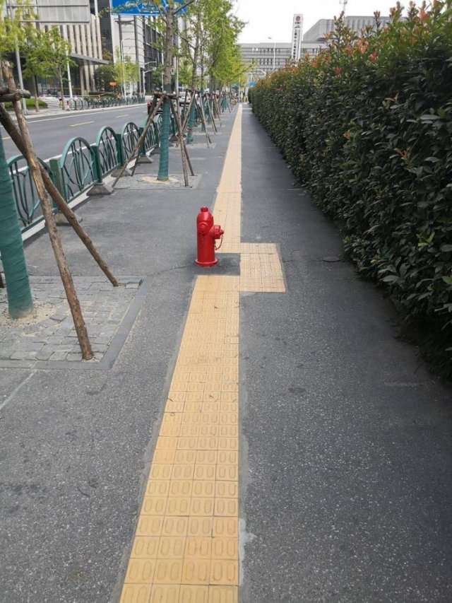 Acid Picdump 1 (52 pics)