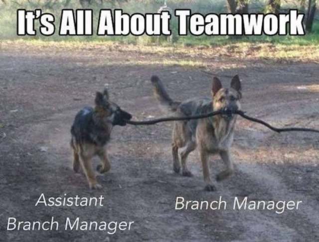 Teamwork Humor (33 pics)