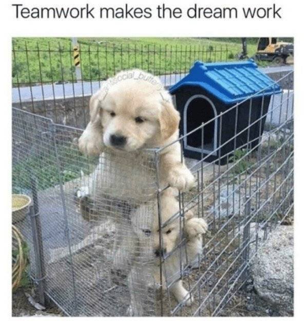 Teamwork Humor (33 pics)