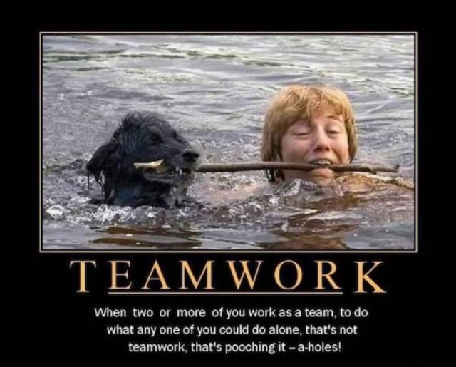 Teamwork Humor (33 pics)