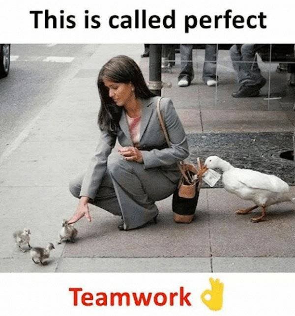 Teamwork Humor (33 pics)