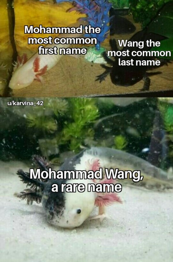 Random Funny Memes (21 pics)