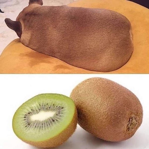 Things That Look Like Food (33 pics) Things That Look Like Food (33 pics)