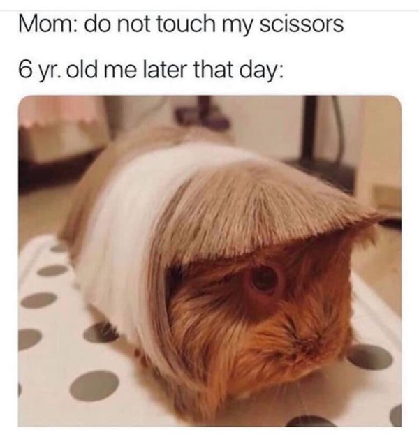 Hilarious Memes (25 pics)