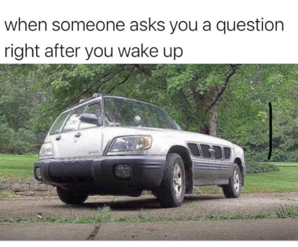 Hilarious Memes (25 pics)