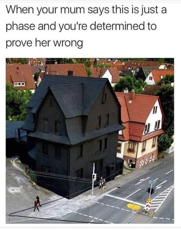 Hilarious Memes (25 pics)