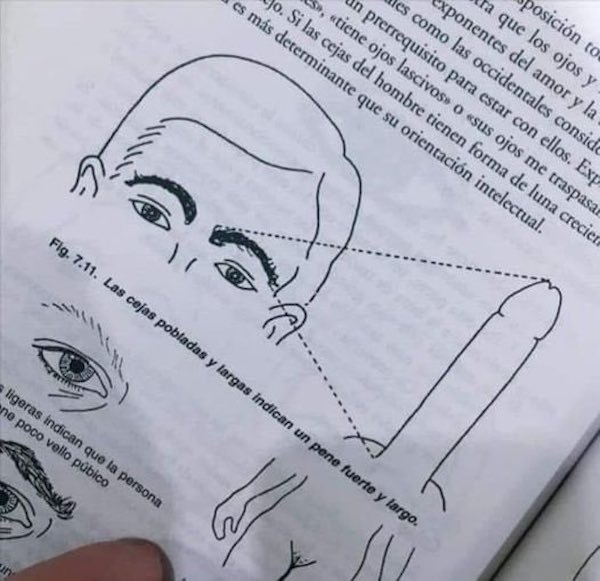 Weird Scientific Book Pages (35 pics)