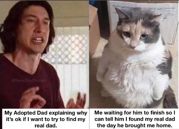 Hilarious Memes (25 pics)