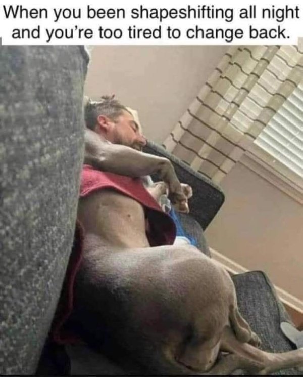 Hilarious Memes (25 pics)