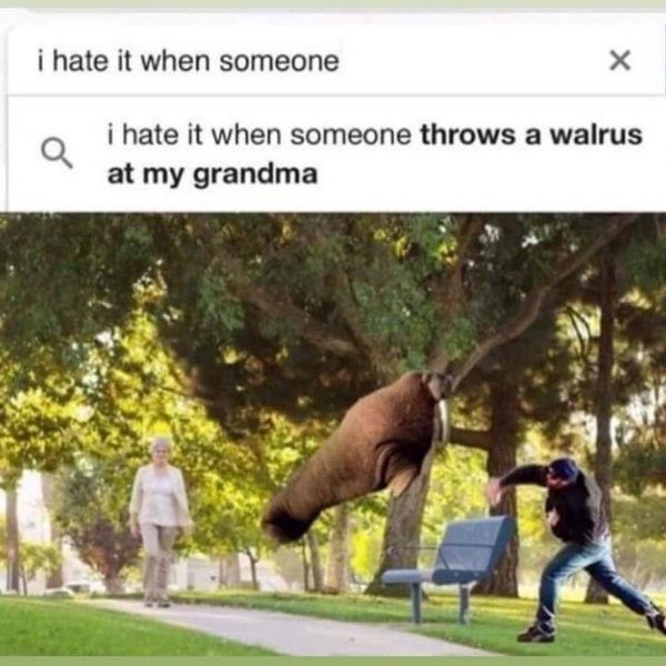 Hilarious Memes (25 pics)