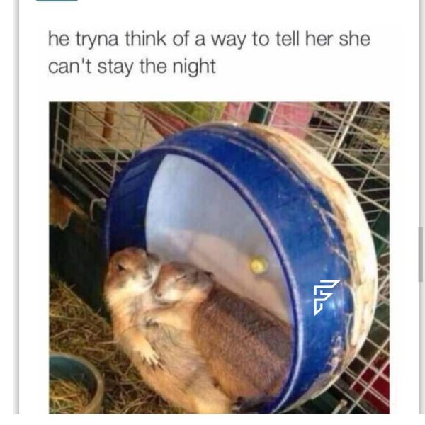 Hilarious Memes (25 pics)