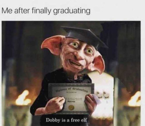 Graduation Memes (34 pics)