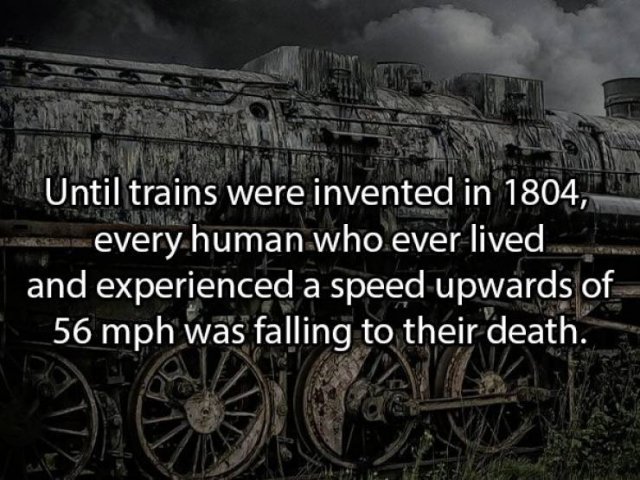 Shower Thoughts (16 pics)
