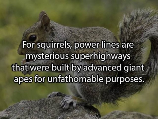 Shower Thoughts (16 pics)