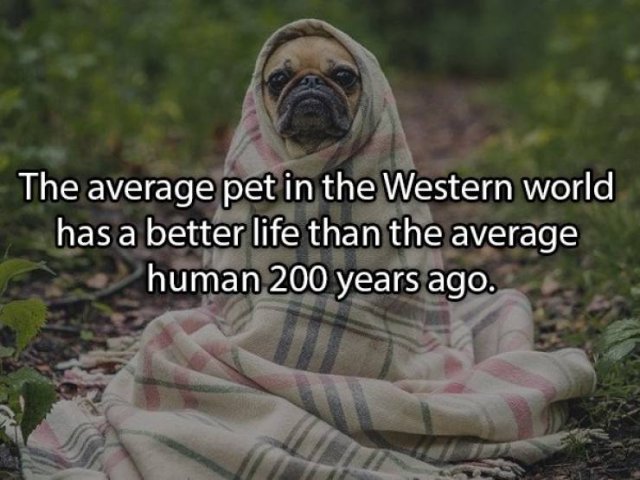 Shower Thoughts (16 pics)