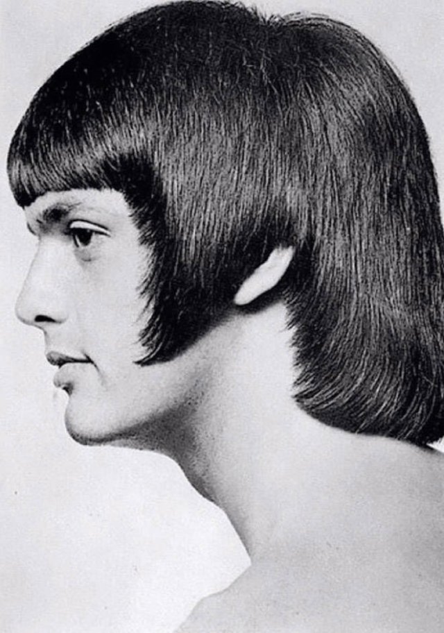 Men Hairstyles In 1970's (22 pics)