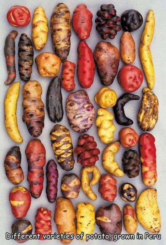 Acid Picdump 2 (83 pics)