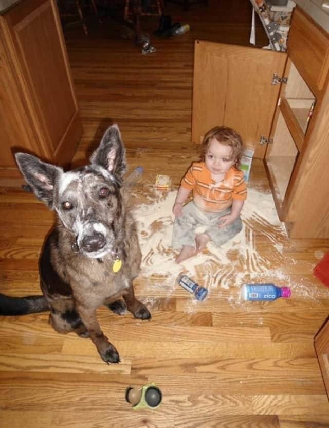 Acid Picdump 1 (86 pics)
