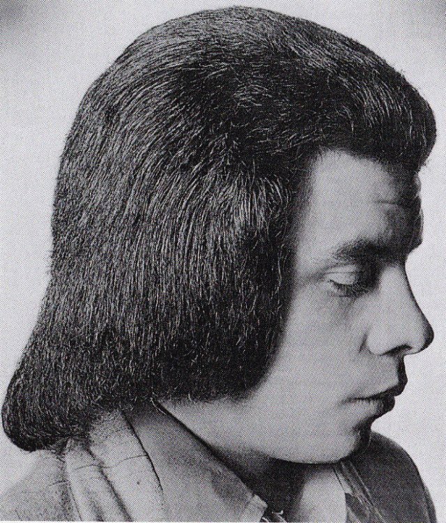 Men Hairstyles In 1970's (22 pics)