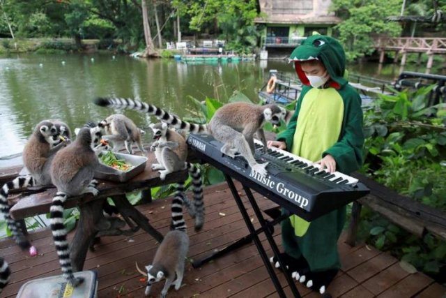 Acid Picdump 1 (86 pics)