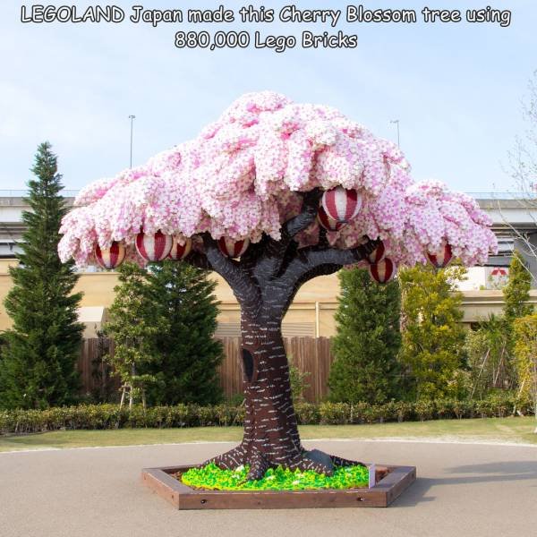 Acid Picdump 2 (83 pics)