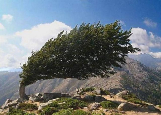Acid Picdump 2 (83 pics)