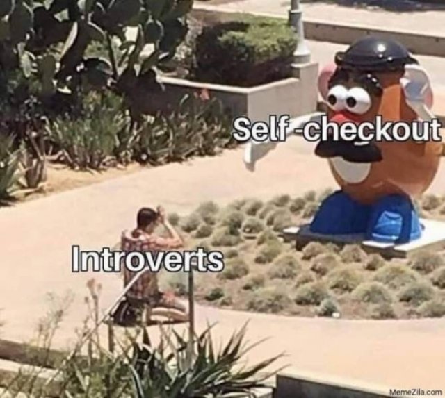 Introvert Memes (25 pics)