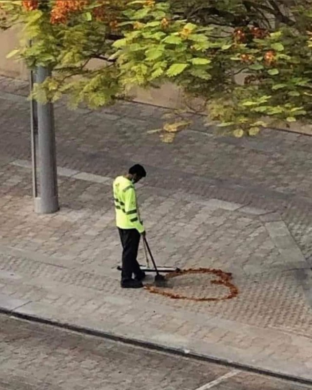 Acid Picdump 1 (86 pics)