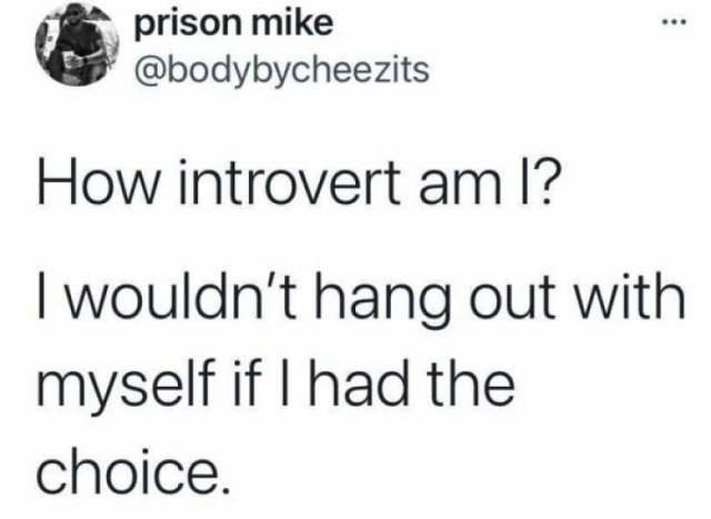 Introvert Memes (25 pics)