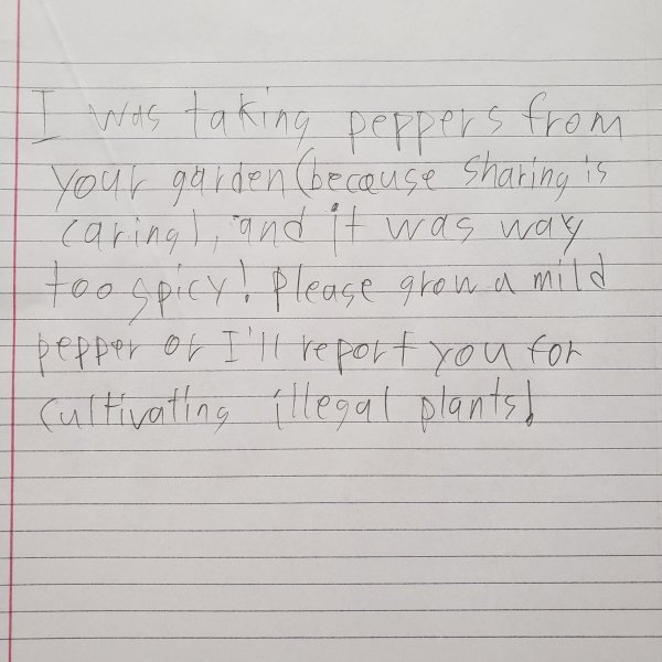 Choosing Beggars (19 pics) Choosing Beggars (19 pics)