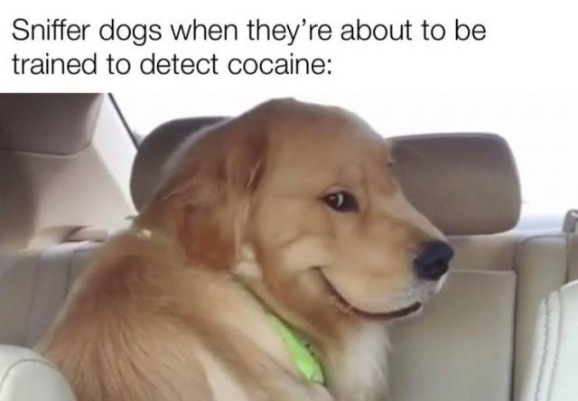 Acid Picdump 2 (83 pics)