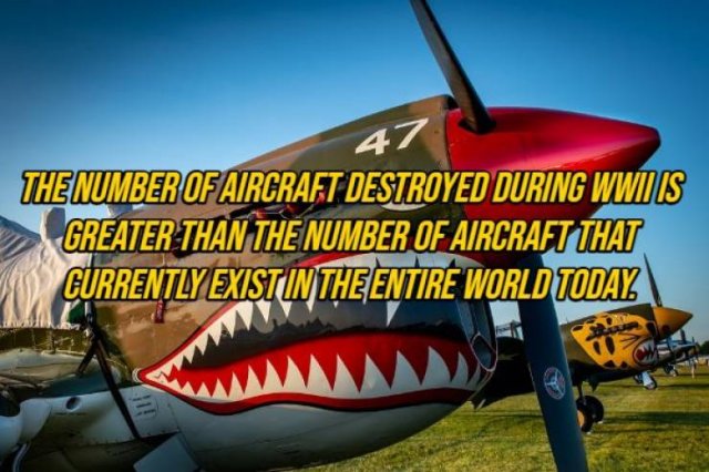 Historical Facts (20 pics)