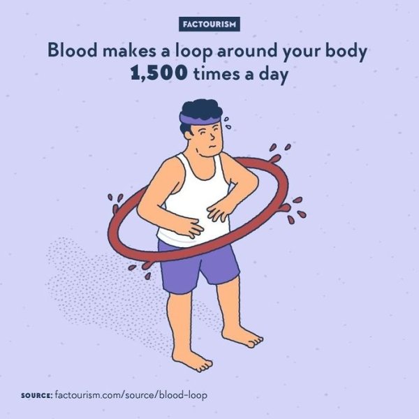 Intriguing Facts (32 pics)